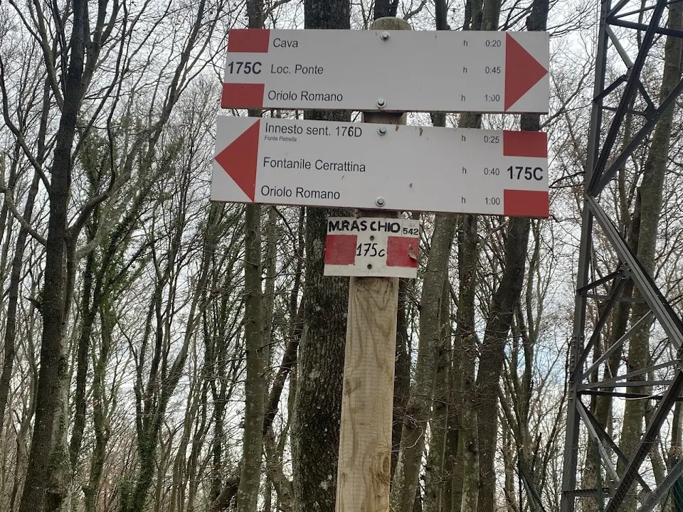 Monte Raschio