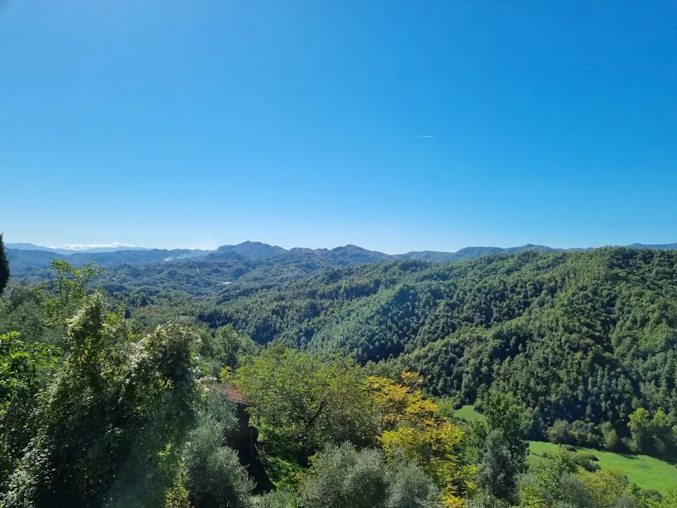 Sagra del Tartufo - Canterano