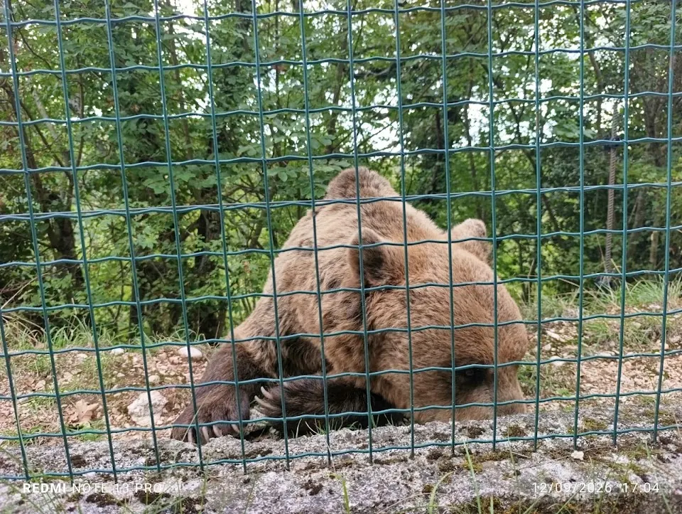 Area Faunistica dell'Orso - Campoli Appennino