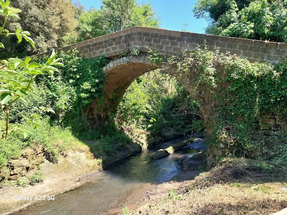 Forre di Corchiano