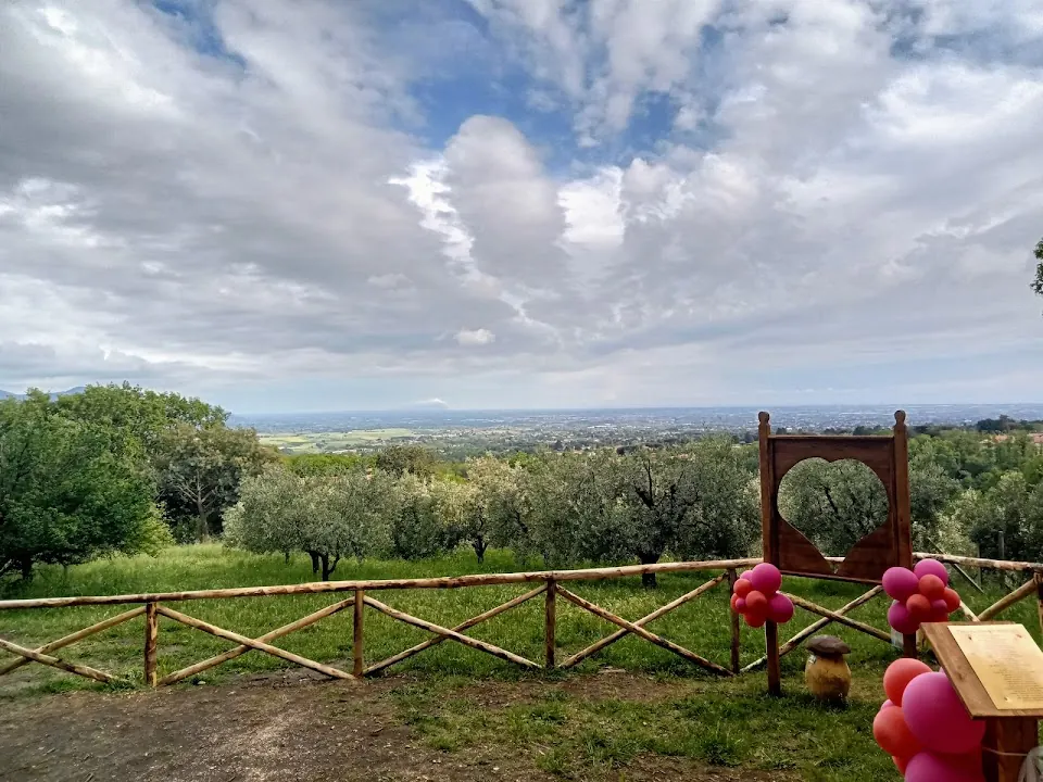 Big Bench #289 - Lariano