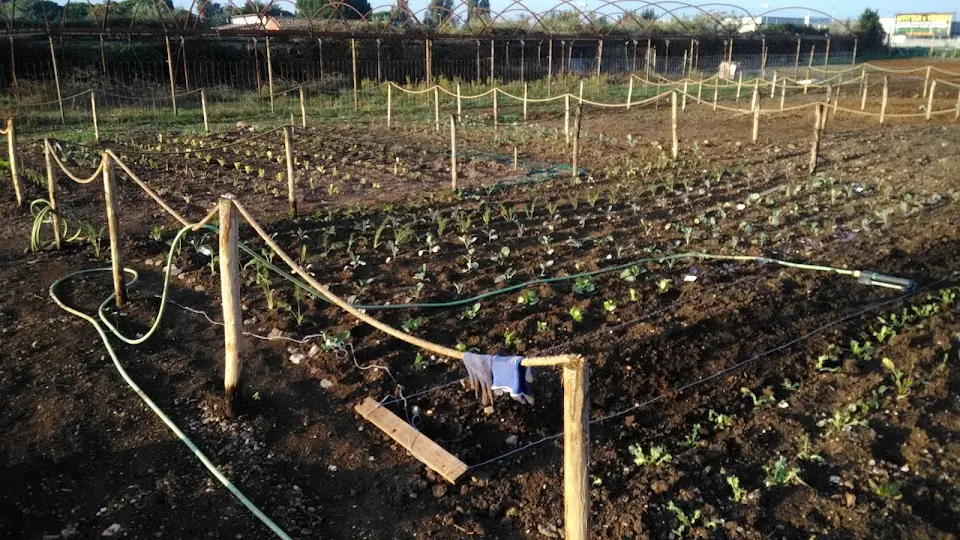 Parco del Corbezzolo orti urbani sociali
