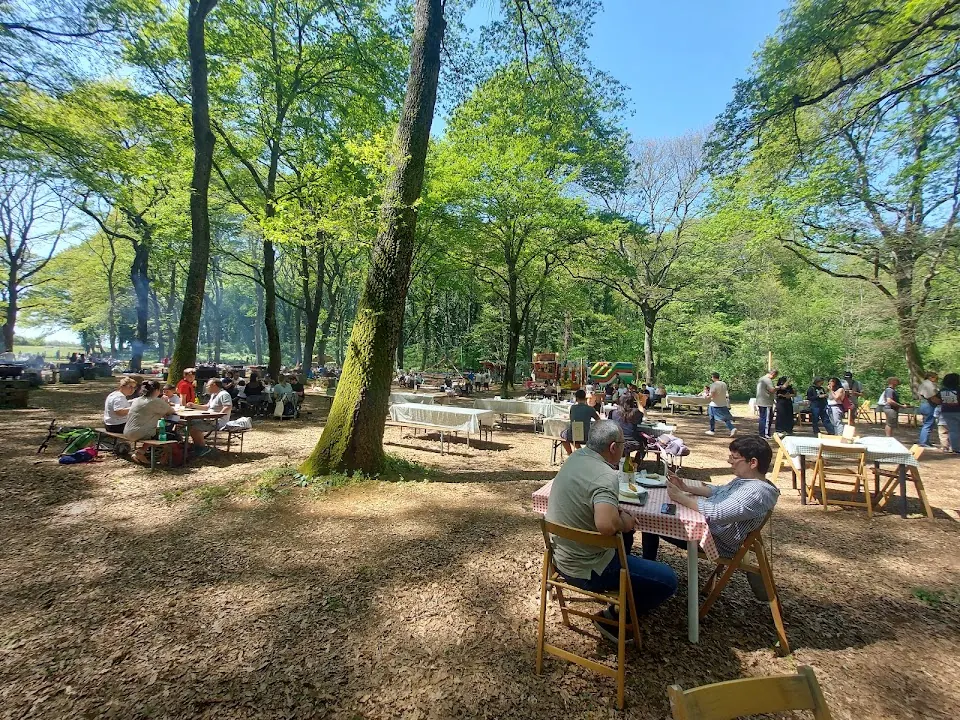 Il Bosco di Paliano