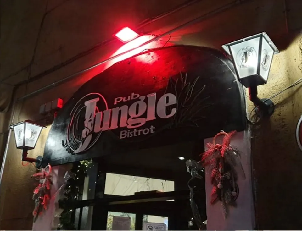 JUNGLE Cucina&Spirits