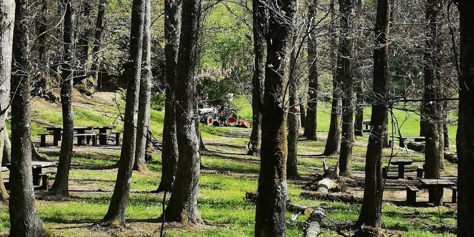 Parco dell'Ontanese
