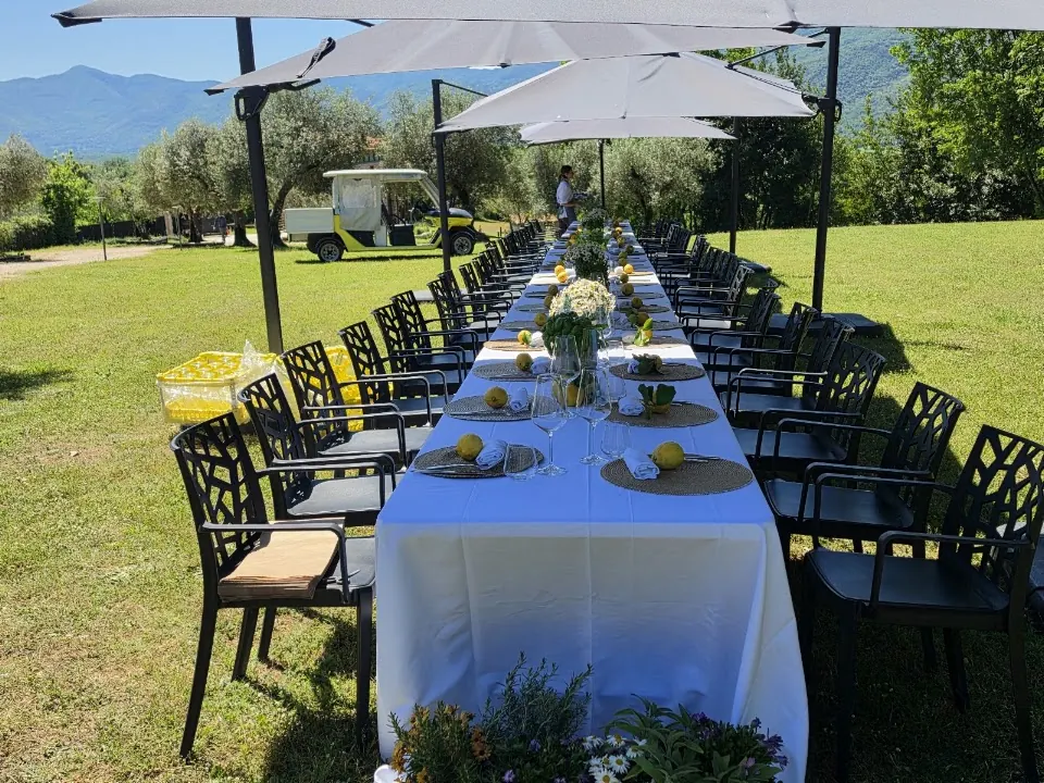Tenuta Ara del Tufo