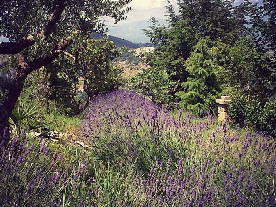 Parco delle Rimembranze