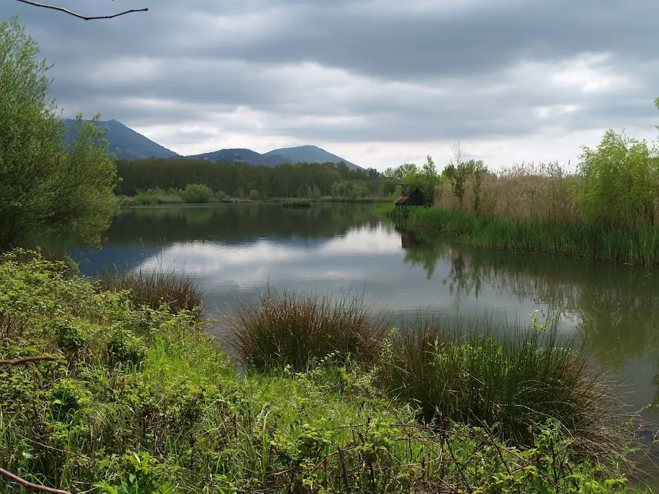 Parco Pantanello
