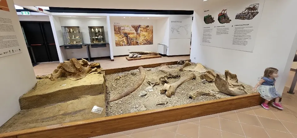 Museo preistorico di Pofi