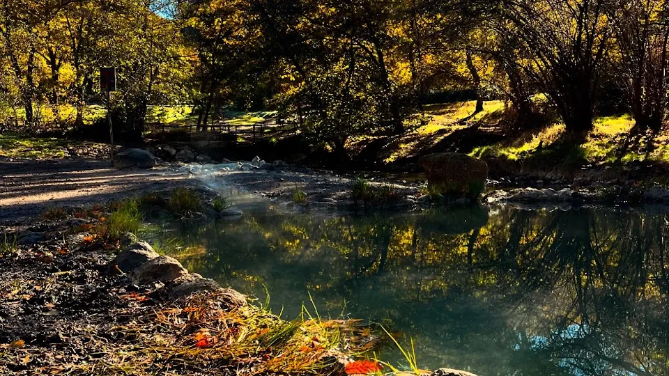 Mola Park