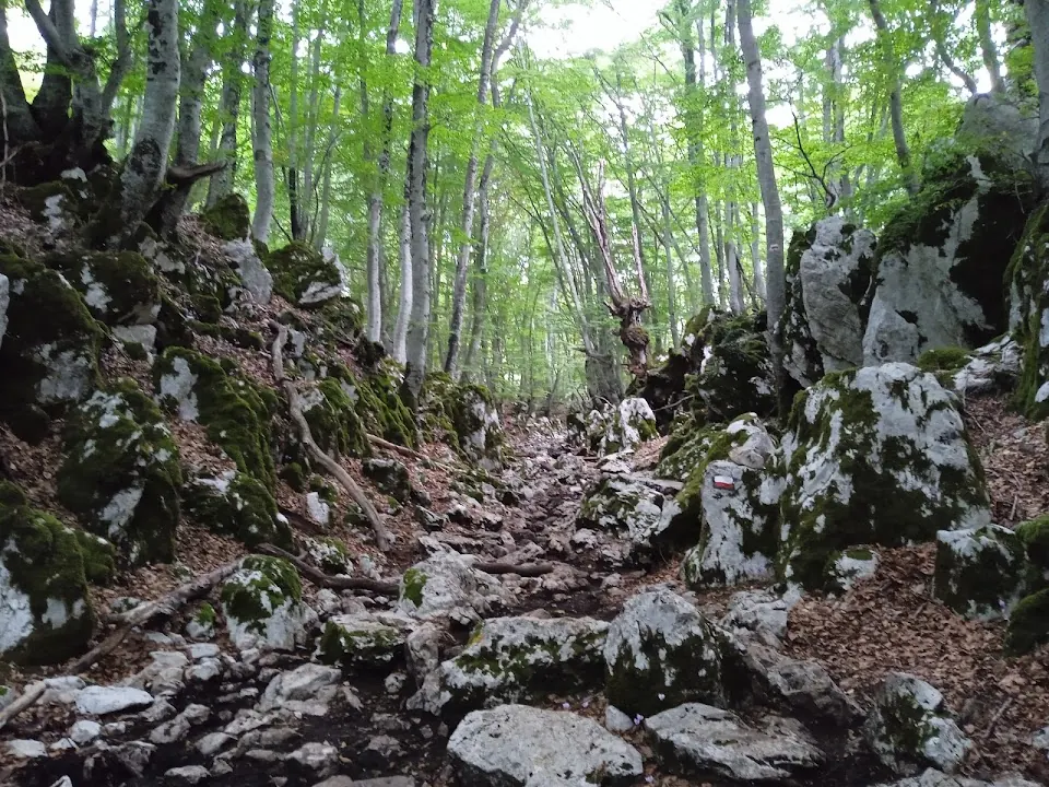 Inizio sentiero per Monte Gennaro
