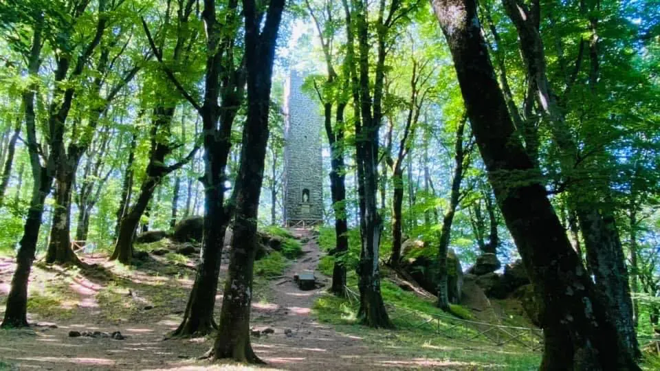 Faggeta Vetusta del Monte Cimino