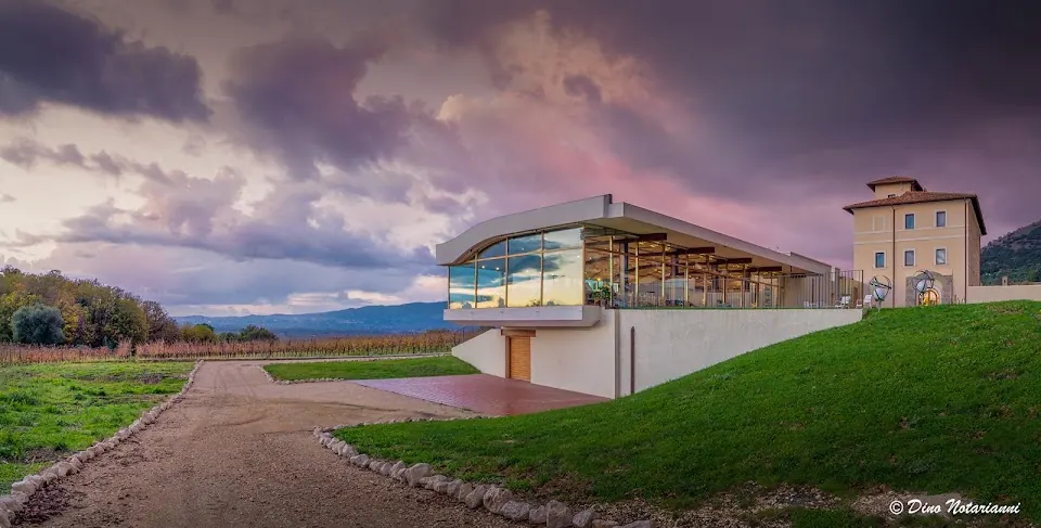 Cincinnato Wine Resort