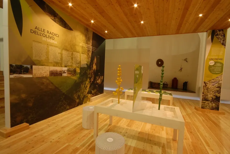 Museo del Paesaggio Agrario dell'Ulivo