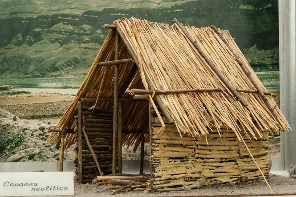 Mostra permanente "Homo sapiens e habitat" Fondazione Marcello Zei onlus