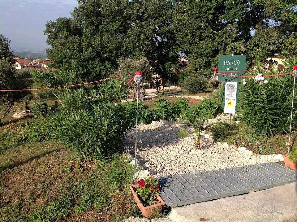 Parco Luci