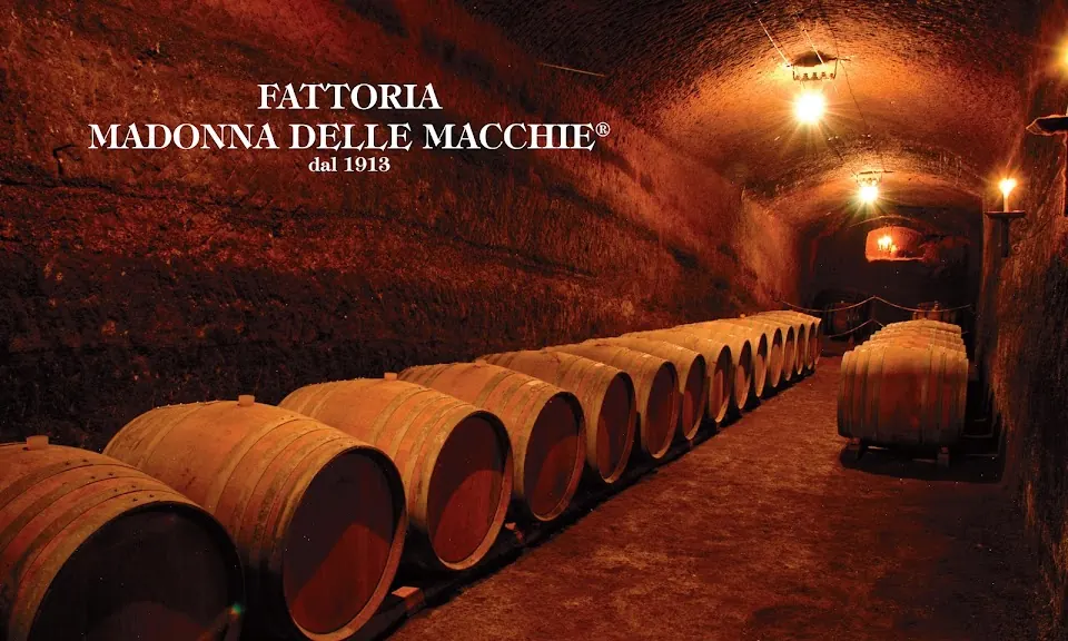 FATTORIA MADONNA delle MACCHIE