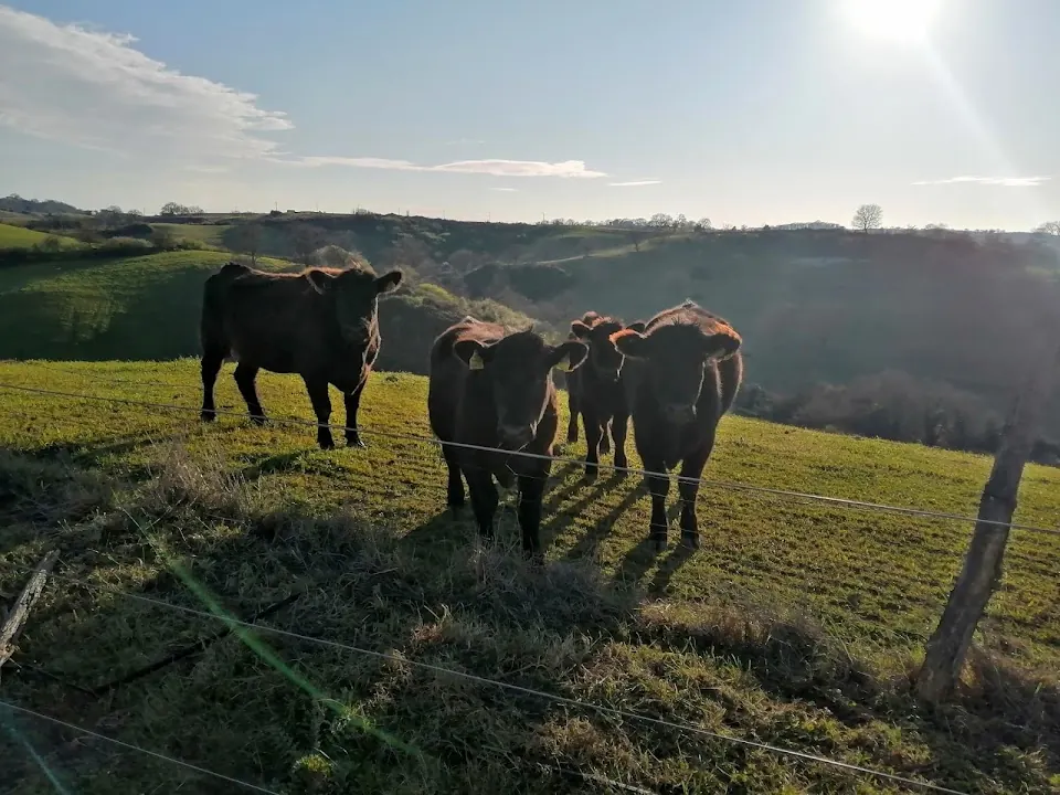 Azienda Agricola "LA ARGENTINA"
