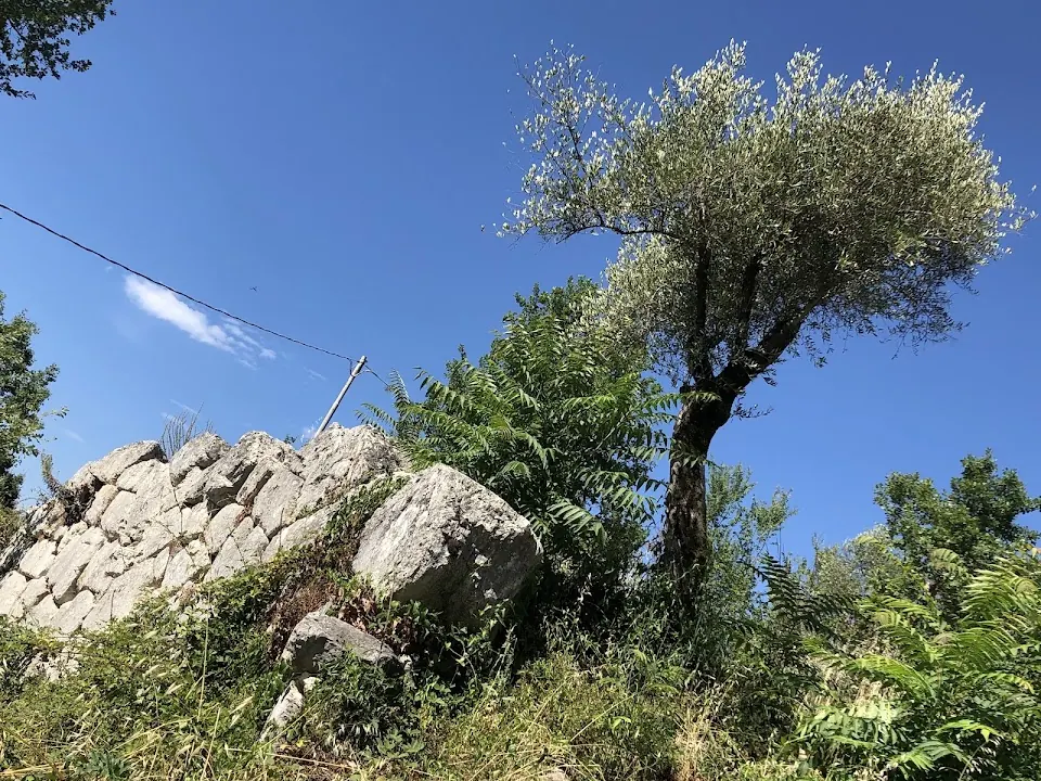 Mura Pelasgiche
