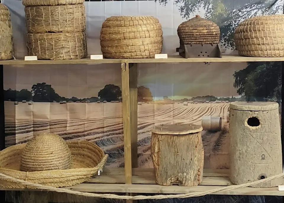 Museo del Miele Canale Monterano