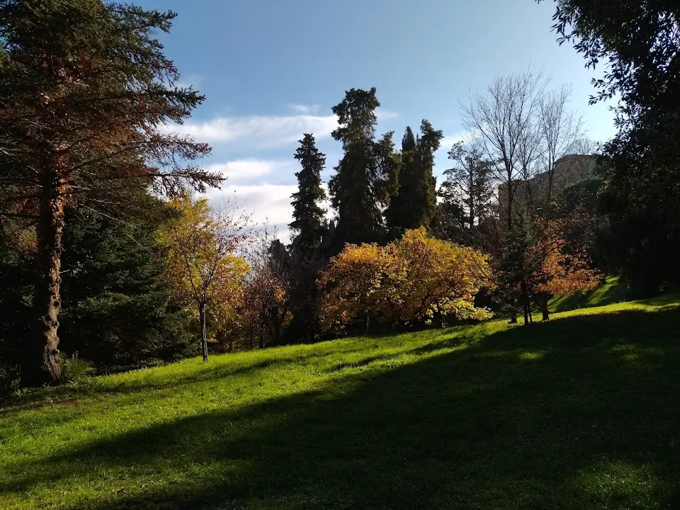 Parco Camuccini