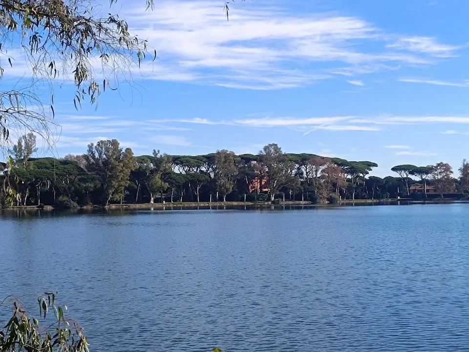 Oasis of Porto