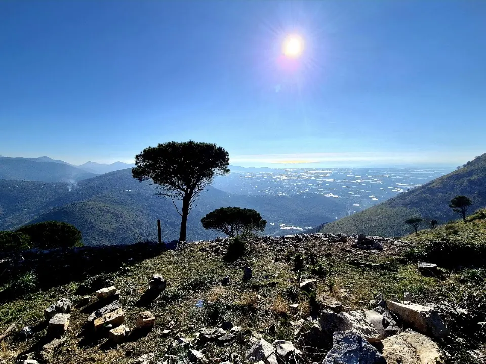 Quercia del Monaco