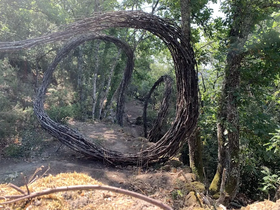Opera Bosco