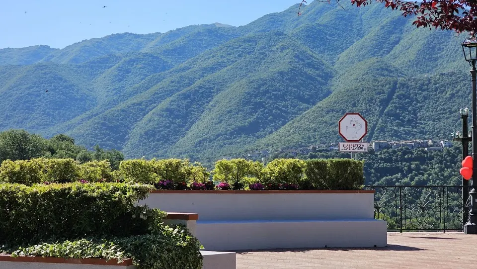 Segnale D'Amore