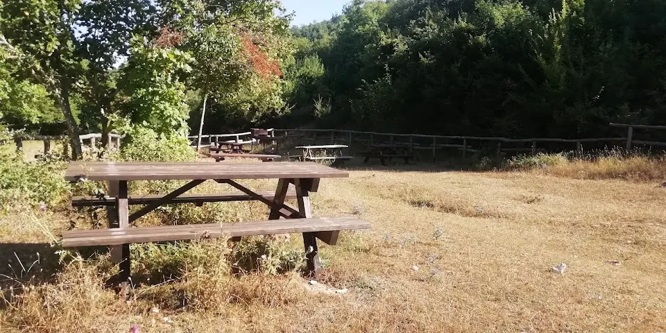 Area Pic Nic