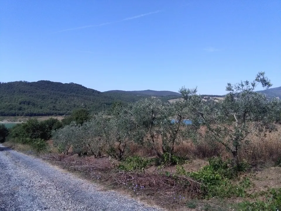 Chiesa della Madonna del Buon Consiglio