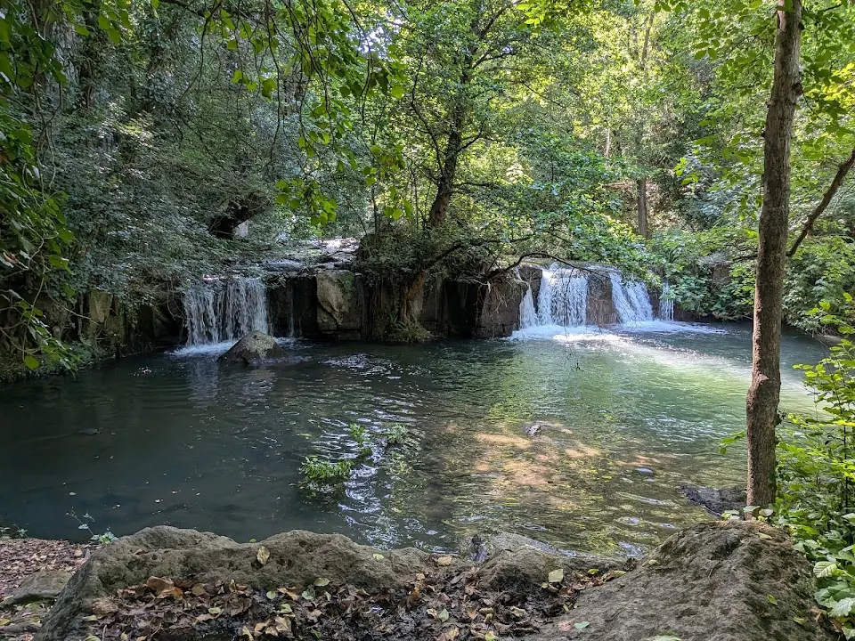 Parco Valle del Treja