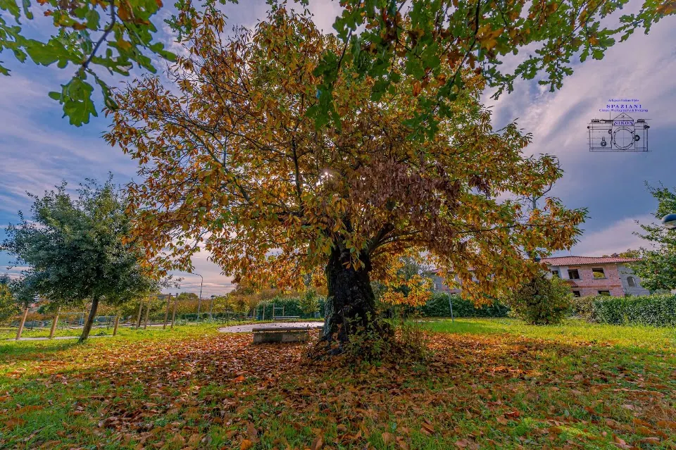 Parco Benessere