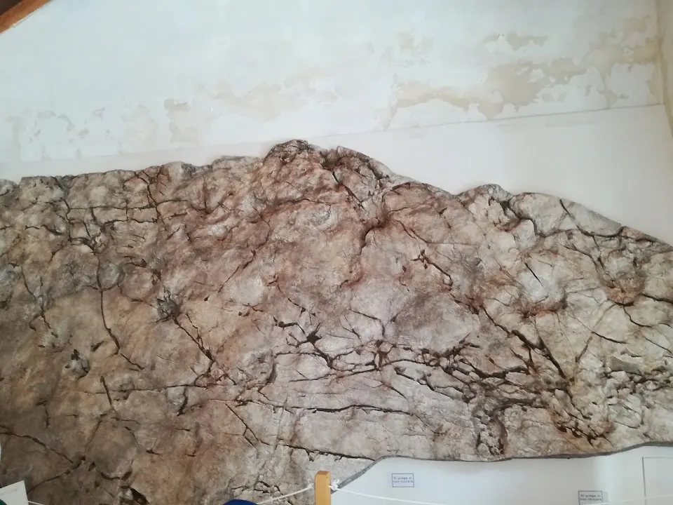 museo del carsismo palazzo spinelli